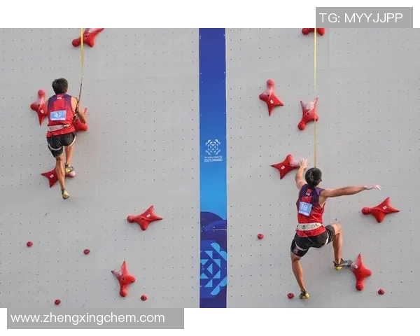 成都攀岩队比赛经验分析与数据挖掘探讨攀岩运动发展潜力 成都攀岩队比赛经验分析与数据挖掘探讨攀岩运动发展潜力