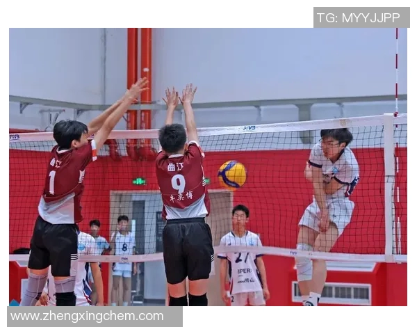 北京篮球队在世界锦标赛上的拼搏历程与荣耀时刻全景回顾