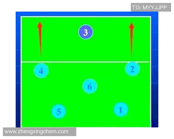 广州排球队的节奏揭秘：深入分析排球的魅力与战术策略